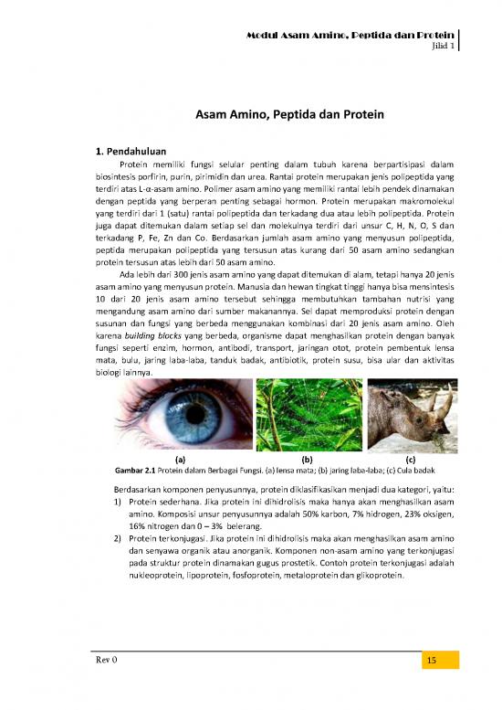 picture_Protein