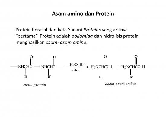picture_Protein Kuliah Ko2