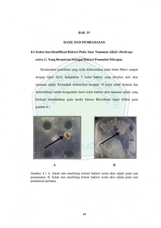 picture Materi Bakteri Pdf 61734 | 09620027 Bab 4