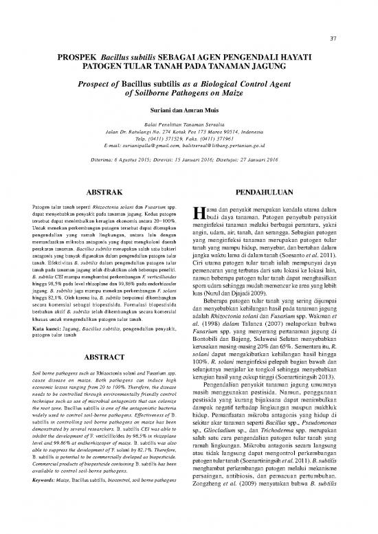 picture1_122313 Id Prospek Bacillus Subtilis Sebagai Agen P