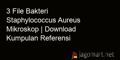 picture 3 File Bakteri Staphylococcus Aureus Mikroskop | Download Kumpulan Referensi