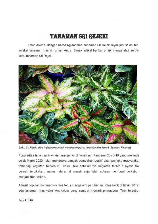 picture_Tanaman Hias Pdf 62368 | Tanaman Sri Rejeki
