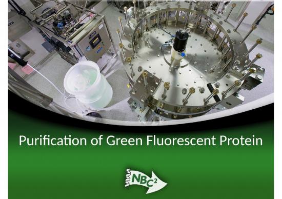 picture Protein Purification Slideshare 66701 | 602572425946793478 9 Gfp Purification Column Chromatography