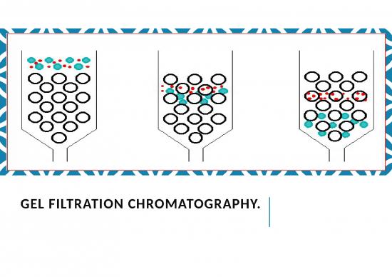 picture Protein Purification Slideshare 66821 | Gel Filtration Chromatography
