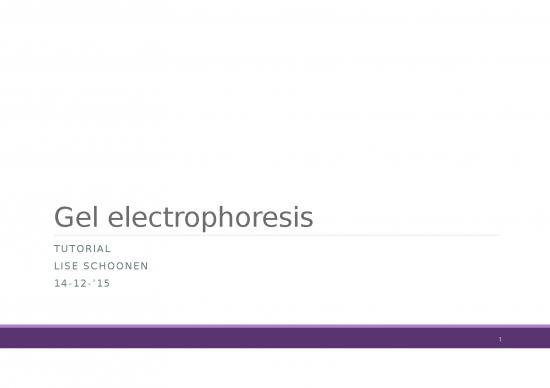 picture1_Report Ppt 68375 | 151214 Liseschoonen Gel Electrophoresis
