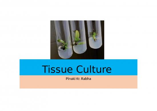 picture_Plant Tissue Culture Slideshare 66893 | 1627903600