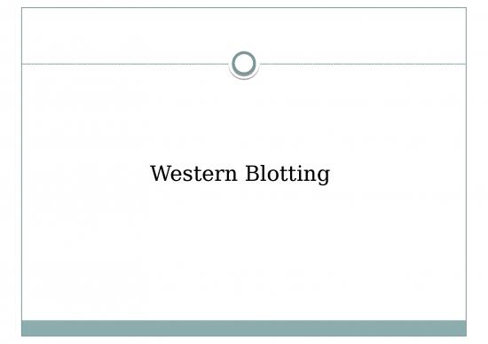 picture_Blotting Slideshare 67182 | 51 6th Sem Western Blotting    Debabrata Paria