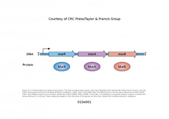 picture1_Evolution Ppt 66999 | 9780367263768 C010
