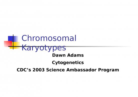 picture_Structure Ppt 68147 | Chromosomal Karyotypes
