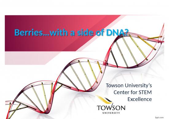 picture Control Plan Ppt 68411 | Dna Extraction Ms Ppt