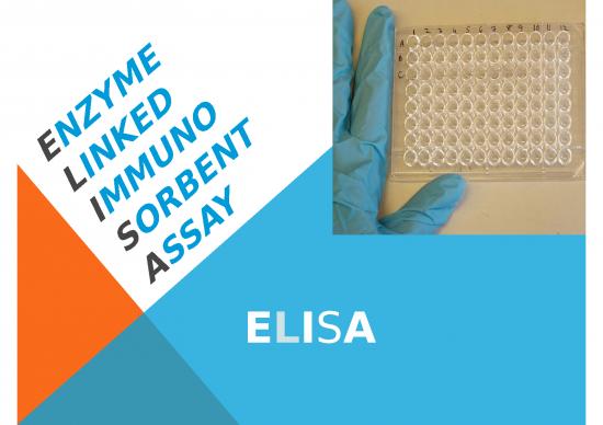 picture_Immuno Assay Slideshare 68277 | Enzyme Linked Immunosorbent Assay