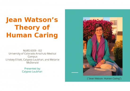 picture Nurse Ppt 68141 | Jean Watson Presentation