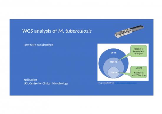 picture_Market Ppt 66915 | Minion Tb Feb2020 Wgs Neil Stoker
