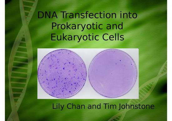 picture_Transfection Slideshare 67002 | Transfection Presentation 1