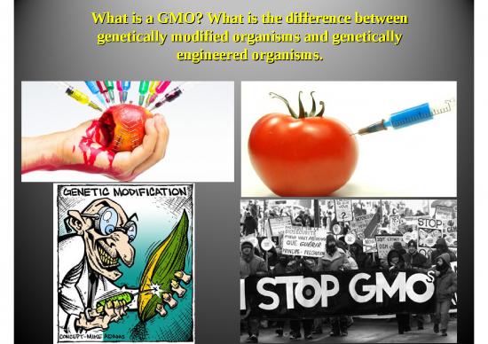 picture1_Material Ppt 71469 | 1 What Is A Gmo