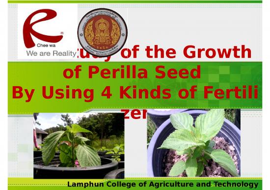 picture Technology Ppt 70260 | 28 (th) Study Of Perilla Seed Lamphun College Of Agriculture