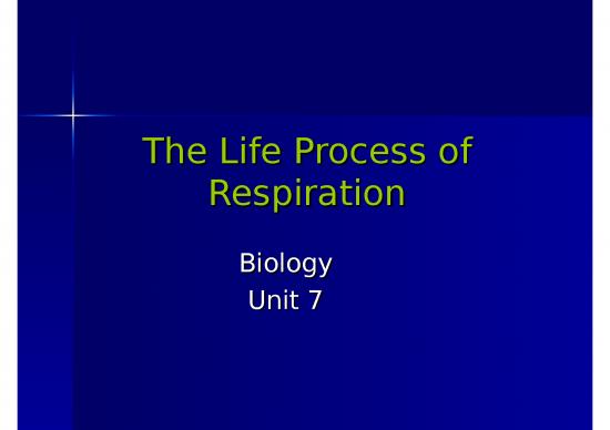 picture_3semesterrespiration