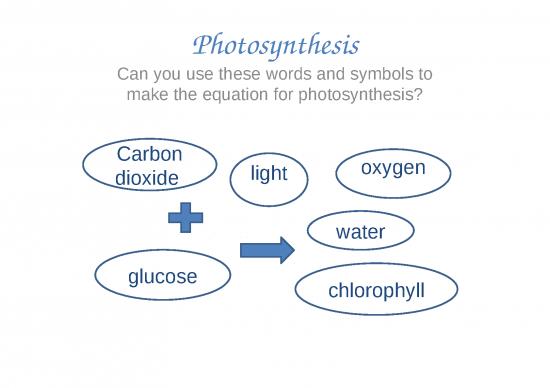 picture_Photosynthesis Ppt 71546 | 4812 Photosynthesis Limiting Factors