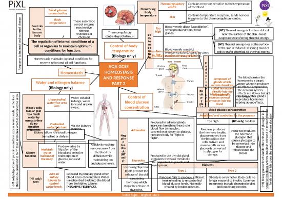 picture Ppt Chemical 71362 | Aqa Biology Homeostasis And Response Knowledge Mat Part 2 Gcse