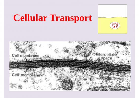 picture Cell Membrane Structure Ppt 71522 | Cell Transport Powerpoint
