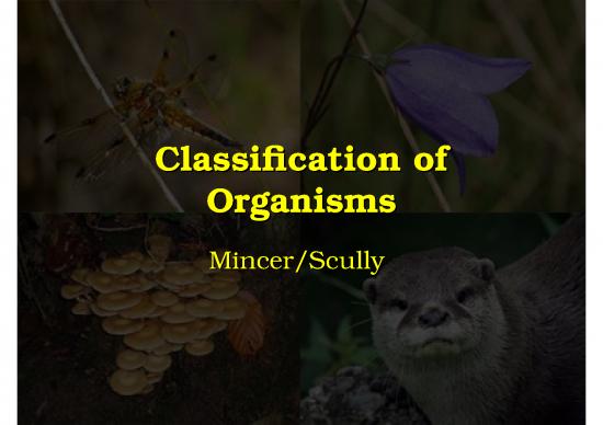 picture1_Classification Of Organismsnew