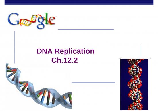 picture1_Biology Ppt 71507 | Dna Replication 2014 Ppt