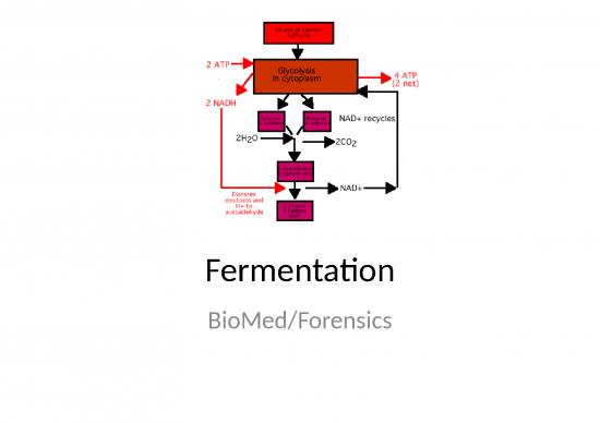 picture_Ppt Chemical 71425 | Fermentation 1
