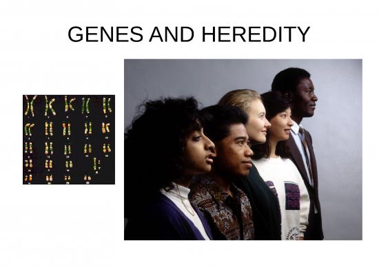 picture1_Powerpoint For Students 70218 | Genes Item Download 2022-08-30 00-07-33
