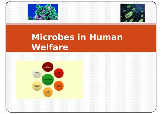 picture_Quality Ppt 71528 | Microbes In Human Welfare