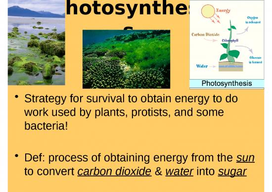 picture Photosynthesis Ppt 71503 | Photosynthesis 2016