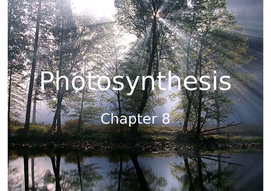 picture_Ppt Chemical 71490 | Photosynthesis Ppt