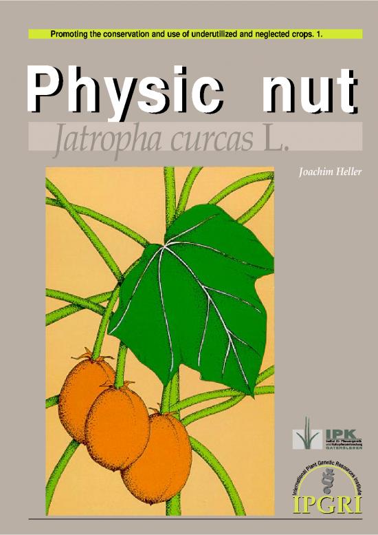 picture_Research Pdf 6658 | Literature On Jatropha Curcas  Jarak Pagar - Pertanian