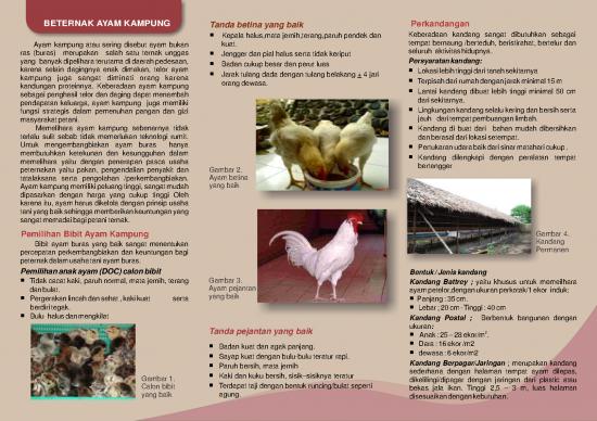 picture1_Gizi Pdf 7143 | Beternak Ayam Kampung - Pertanian Dan Peternakan