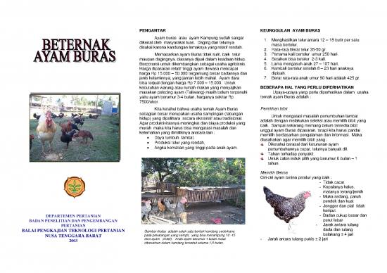 picture Presentasi Usaha 7154 | Beternak Ayam Buras - Pertanian Dan Peternakan