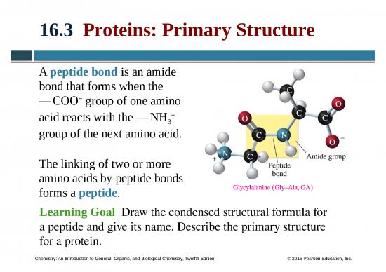 picture Ppt In Chemistry 72265 | 16 3 Proteins Primary Struc