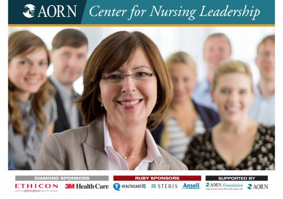 picture Information Ppt 73874 | Aorn Webinar   Key To Leader Success Ppt