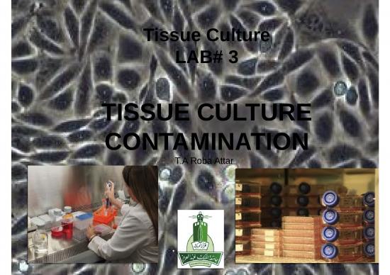 picture1_Chemical Potential Ppt 68275 | Contamination