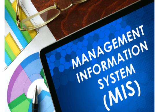 picture Business Ppt Templates 73107 | Management Of Information System