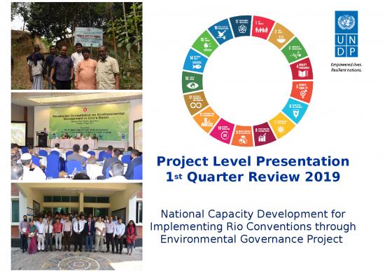 picture1_Area Ppt 71636 | Project Self Assesment Ed Arr   Rio Project   Quarterly Review 2019