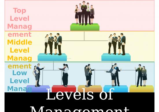 picture Team Leader Presentation Powerpoint 75264 | Levels Of Management Demo