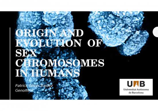 picture_Molecular Evolution Slideshare 76520 | Origin And Evolution  Of Sex Chromosomes In Humans2018 12 11p20 59 57