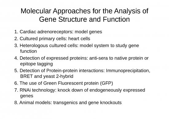 picture1_Animal Cell Culture Slideshare 77627 | 458 Greenwood 01