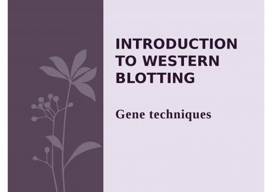 picture_Immunoblotting Slideshare 77454 | 6 2019 04 23!10 15 11 Pm
