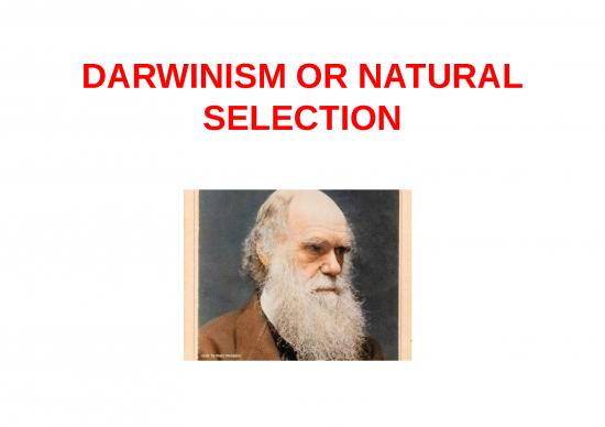 picture Evolution Ppt 78613 | 99997607