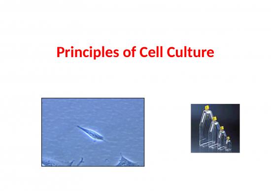 picture_Plant Tissue Culture Slideshare 77203 | Cell Cutlure 0