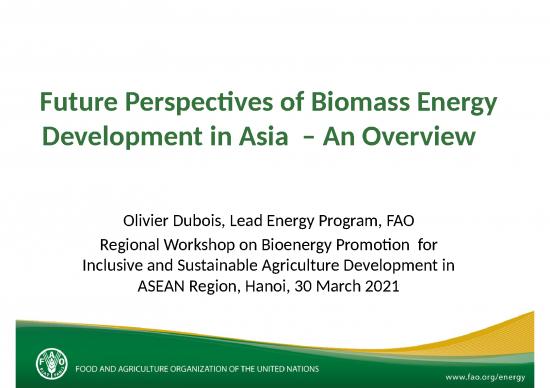 picture_Renewable Energy Ppt 78500 | Fao   Future Perspectives Of Biomass Energy Development In Asia
