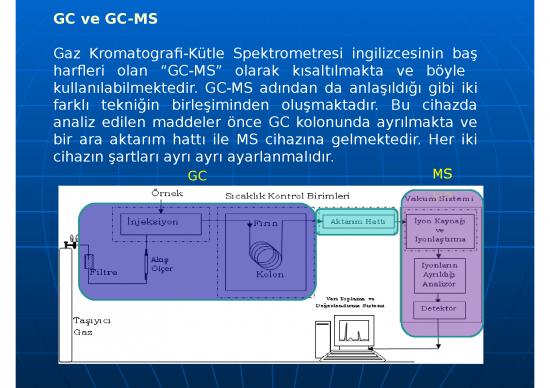 picture_Gc Ms I