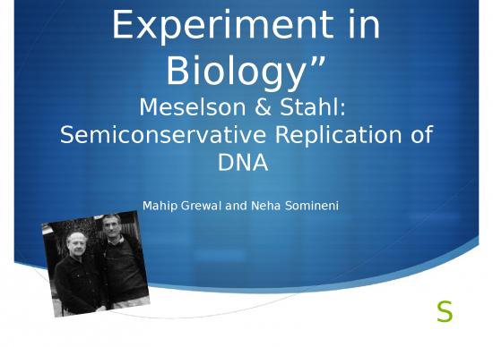 picture1_Powerpoint Slide Ideas 77682 | Mahip And Neha Meselson  Stahl Presentation