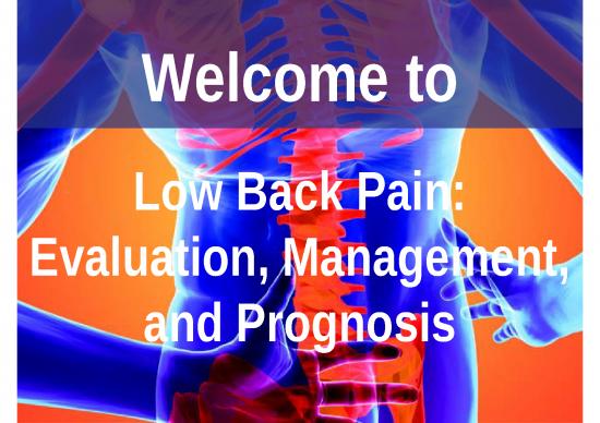 picture1_Ppt Physical Therapy 77873 | Mccarberg Low Back Pain