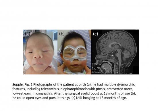 picture1_Analysis Ppt Repost 77662 | Mmc1 Item Download 2022-09-03 06-57-02